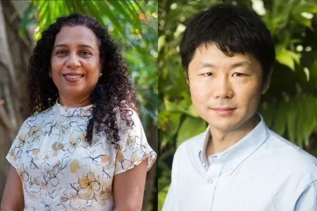 Composite image of Dr Vinuthaa Murthy and Dr Hao Wang, head and shoulders, with green leafy backgrounds