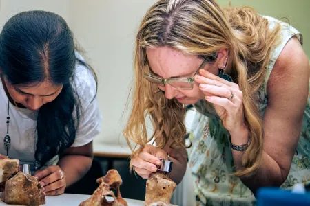 Charles Darwin University (CDU) will host a two-day science workshop for teachers in the Territory starting Friday, November 18.