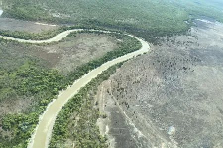 aerial view of a long bend in a river with trees on the bank and open forest in the distance, mud-coloured treeless plain on the right hand side