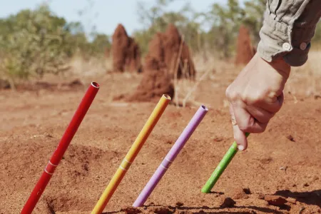 The CDU Art Gallery will host a symposium on featured artwork Where Lakes Once Had Water on May 17. 