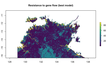 colour coded map of the top end of the Northern Territory, titled "Resistance to gene flow (best model)". Colour scale is graded from 200 to 800, lowest is dark blue, highest is yellow. Map shows yellow mainly around estuarine waterways