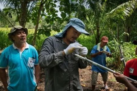 Three people standing on bare earth with palms and other vegetation in background