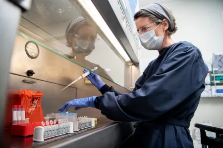 Research excellence contributes to CDU's climb in international ranks.