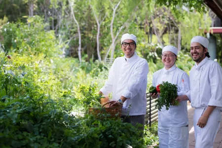 students in a herb garden