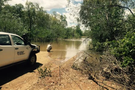 Person crouching at edge of tree-lined river with CDU vehicle in foreground