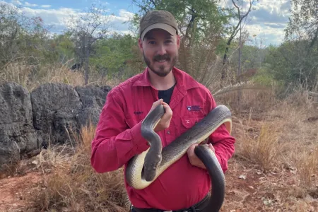 man holds olive python in bush