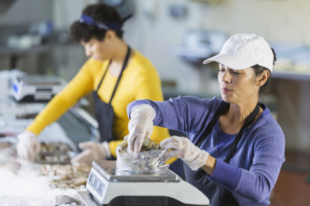 Charles Darwin University (CDU) researchers will investigate the role of women in commercial seafood industry in the Northern Territory. 