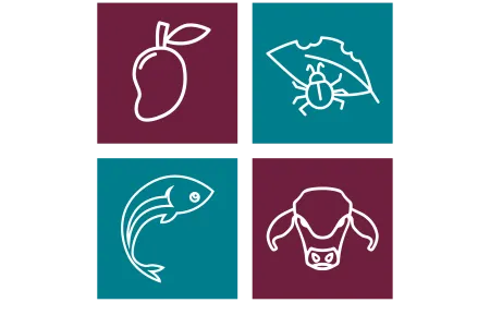 composite image of 4 RINA research areas logos