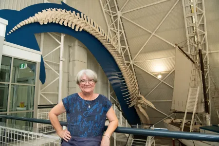 The footage was captured as part of a decade-long program led by Charles Darwin University and Australian National University academic Dr Karen Edyvane. 