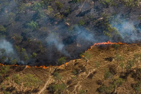 Bushfire seen from helicopter over savanna landscape