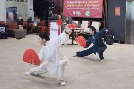 tai chi fan 2