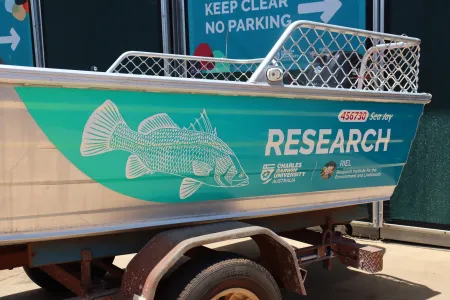 The vessels were recently freshened up with wraps inspired by local wildlife.