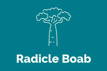 Radicle Boab Logo