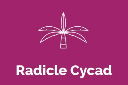 Radicle Cycad Logo