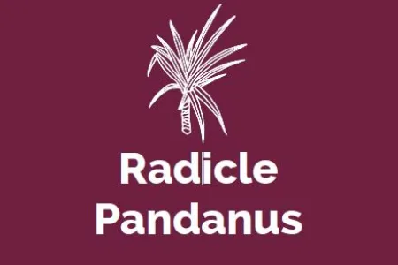Radicle Pandanus Logo