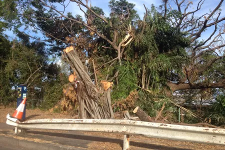 Disaster waste management is a prevalent issue in remote and very remote Northern Territory communities. 