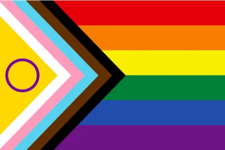 LGBTQIA+ Flag