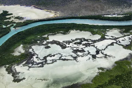 Aerial view of the Tiwi Islands showing winding turquoise river channels bordered by dense green mangroves, with pale tidal flats and dark patterns of wetlands creating striking contrasts in the landscape.