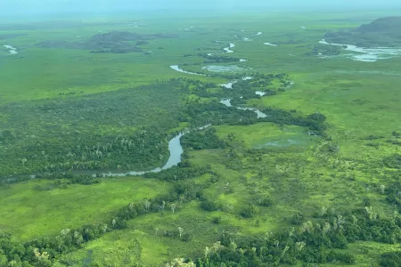 Aerial view of the South Alligator River and floodplain (Northern Territory, Australia). Lowland tropical rivers emit large quantities of greenhouse gases, with rates influenced by seasonal flooding. Credit: Jenny Davis.