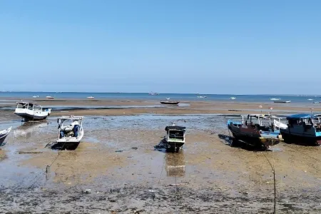 Trepang boats in Oesapa. Picture: Jotham SR Ninef