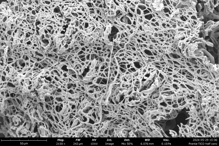 A Honeycomb Woven from Nanofibers by Pranta Barua from CDU's Faculty of Science and Technology.