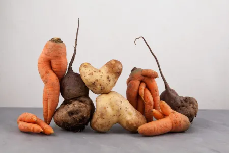 The study explored if religious principles influenced people buying "ugly" foods in Pakistan. 