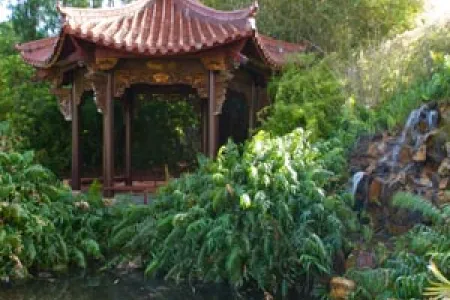 A bronze bust of Confucius, gifted by the Chinese Government, will find its home in CDU’s Chinese Gardens