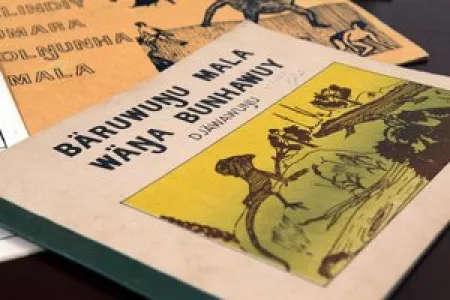 $500,000 grant to preserve Indigenous languages 