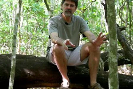 MOOC host Dr Stephen Reynolds