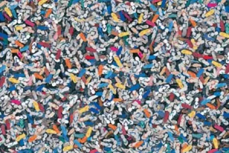 The 2.8m x 1.5m digital print “Thongs” will be one of CDU Visual Arts Lecturer and postgraduate student John Dahlsen’s art works on show in Anchorage, Alaska