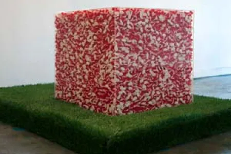 Work by Claire Anna Watson