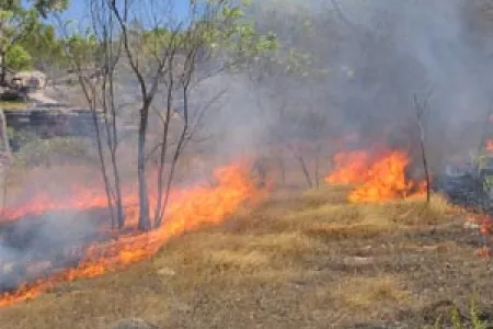 The book aims to ignite interest in the methodology of “fighting fire with fire”.