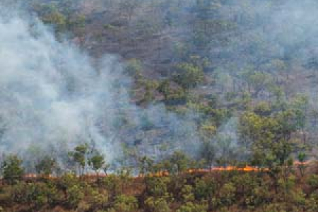 Strategic burning regimes to reduce greenhouse gas emissions are now widespread across Northern Australia