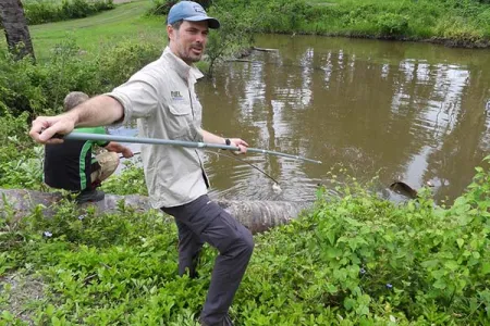 CDU Outstanding Professor Sam Banks is mapping the genetic diversity and movement of crocodiles across northern Australia and southeast Asia