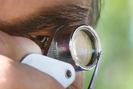 CDU research up with the world's best 