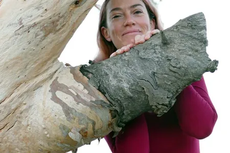 Erin Westerhuis inspects the hollow of a river red gum near Alice Springs.