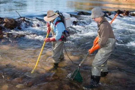 The team has secured funding to forecast the resilience of freshwater fish species in Northern Australia