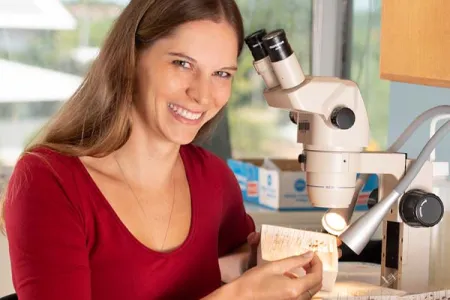 Dr Oberprieler inspects a tray of invertebrates