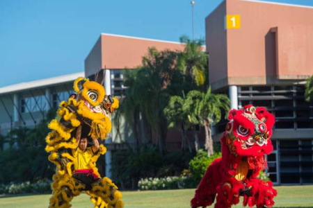 The Chinese Lion Dance brings luck and blessing