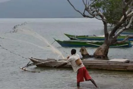 A fisher in Timor-Leste casts his net over small schools of inshore fish in front of his village. Photo: Dirk Steenbergen