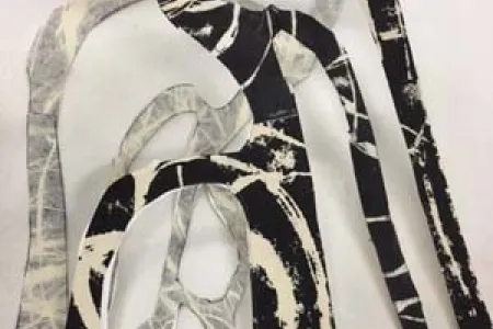 Kerrie Taylor employs layered imagery, mostly using printmaking techniques