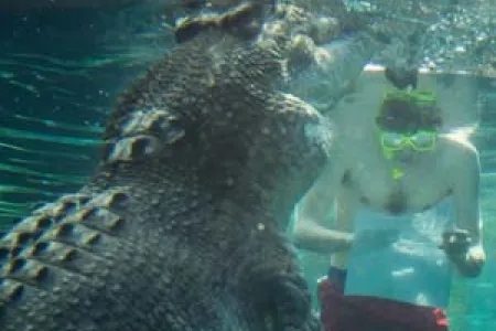 Jonas von Essen tests his memory skills under pressure