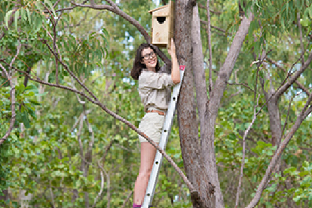 CDU PhD candidate Cara Penton installs a custom-made nest box in a tree at the Casuarina woodland