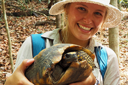 Environmental science student Ella Mason is finding out more about the yellow-footed tortoise