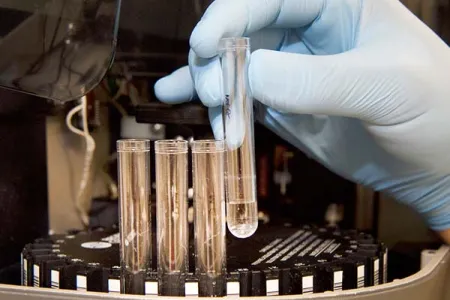 Independent assessments find Charles Darwin University is making a real-world difference