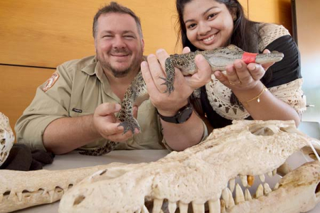 Parks and Wildlife officer Tim Porter shows Bachelor of Nursing student Gigitha Giji a baby crocodile