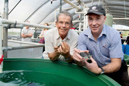 AusTurtle President Michael Guinea and CDU Maritime and Seafood Team Leader Chadd Mumme check out the new facilities at CDU’s turtle rehabilitation facility