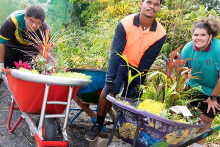From left – Willis Taripo, Romone Lewin and Bradley Garlepp with their wheelbarrow gardens