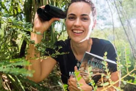 A paper co-authored by Amanda Lilleyman suggests the Torres Strait Pigeon lingers longer in Darwin than previously thought