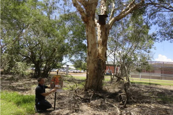 environment livelihood story